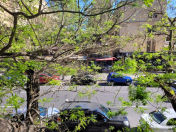 İcarəyə verilir 4 otaqlı 92 m2 köhnə tikili Elmlər Akademiyası m.