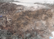 Satılır 5 sot torpaq Dübəndi bağları