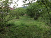 Satılır 20 sot torpaq Qəbələ