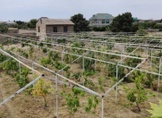 Satılır 24 sot torpaq Albalı