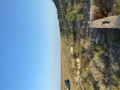 Satılır 12 sot torpaq Pirallahı