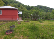 İcarəyə verilir 3 otaqlı 100 m2 həyət evi Qəbələ