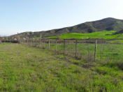 Satılır 30 sot torpaq İsmayıllı