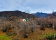 İcarəyə verilir 1 otaqlı 40 m2 bağ evi Zaqatala