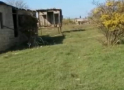 Satılır 25 sot torpaq Albalı