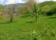 Satılır 16 sot torpaq İsmayıllı