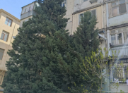 Satılır 3 otaqlı 75 m2 köhnə tikili İnşaatçılar m.