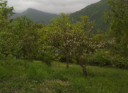 Satılır 10 sot torpaq Şəki