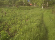 Satılır 60 sot torpaq Oğuz