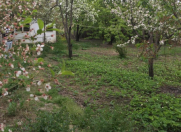 Satılır 8 sot torpaq Quba