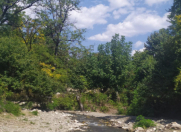 İcarəyə verilir 3 otaqlı 100 m2 həyət evi Oğuz