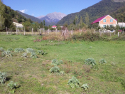 Satılır 14 sot torpaq İsmayıllı