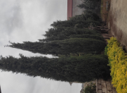 Satılır 3 otaqlı 100 m2 köhnə tikili Mərdəkan