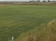 Satılır 72 sot torpaq Bakı