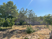 Satılır 14 sot torpaq Qara Qarayev m.