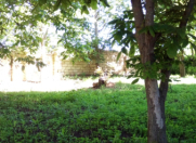 Satılır 10 sot torpaq Şamaxı