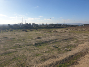 Satılır 31 sot torpaq Saray