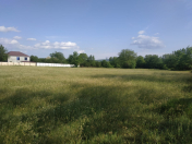 Satılır 115 sot torpaq Qəbələ