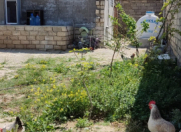 Satılır 2 otaqlı 30 m2 həyət evi Hövsan