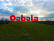 Satılır 32 sot torpaq Qəbələ