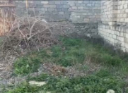 Satılır 10 sot torpaq Bilgəh