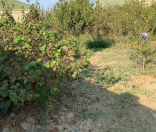 Satılır 8 sot torpaq Sumqayıt