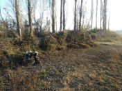 Satılır 36 sot torpaq Göyçay