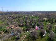 Satılır 8 sot torpaq Y.Suraxanı