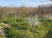 Satılır 6 sot torpaq Maştağa