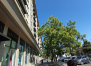 İcarəyə verilir 2 otaqlı 65 m2 köhnə tikili Gənclik m.