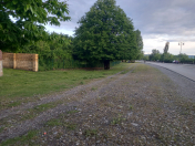 Satılır 5 sot torpaq Qəbələ