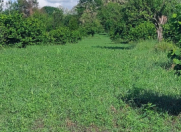 Satılır 100 sot torpaq Qəbələ