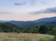 Satılır 2 otaqlı 120 m2 bağ evi Şamaxı