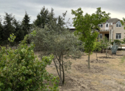 İcarəyə verilir 6 otaqlı 240 m2 bağ evi Mərdəkan
