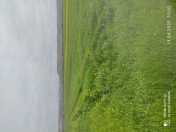 Satılır 368 sot torpaq Göyçay