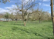 Satılır 32 sot torpaq İsmayıllı