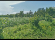 Satılır 1300 sot torpaq Quba