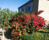 Satılır 2 otaqlı 140 m2 yeni tikili Şamaxı