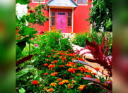 İcarəyə verilir 4 otaqlı 120 m2 həyət evi Qəbələ