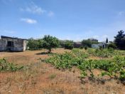 Satılır 24 sot torpaq Albalı