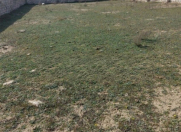 Satılır 15 sot torpaq Buzovna