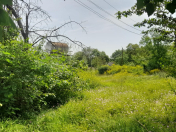 Satılır 10000 sot torpaq Qusar