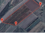 Satılır 1000 sot torpaq Xaçmaz