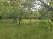 Satılır 3 otaqlı 144 m2 bağ evi İsmayıllı