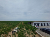 Satılır 10 otaqlı 25000 m2 obyekt Türkan