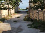 Satılır 12 sot torpaq Novxanı