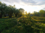 Satılır 26 sot torpaq İsmayıllı