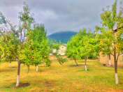 Satılır 10 sot torpaq Qəbələ