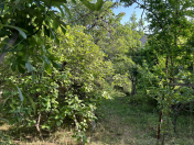 Satılır 4.5 sot torpaq Sumqayıt