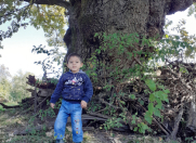 Satılır 11 sot torpaq Qəbələ